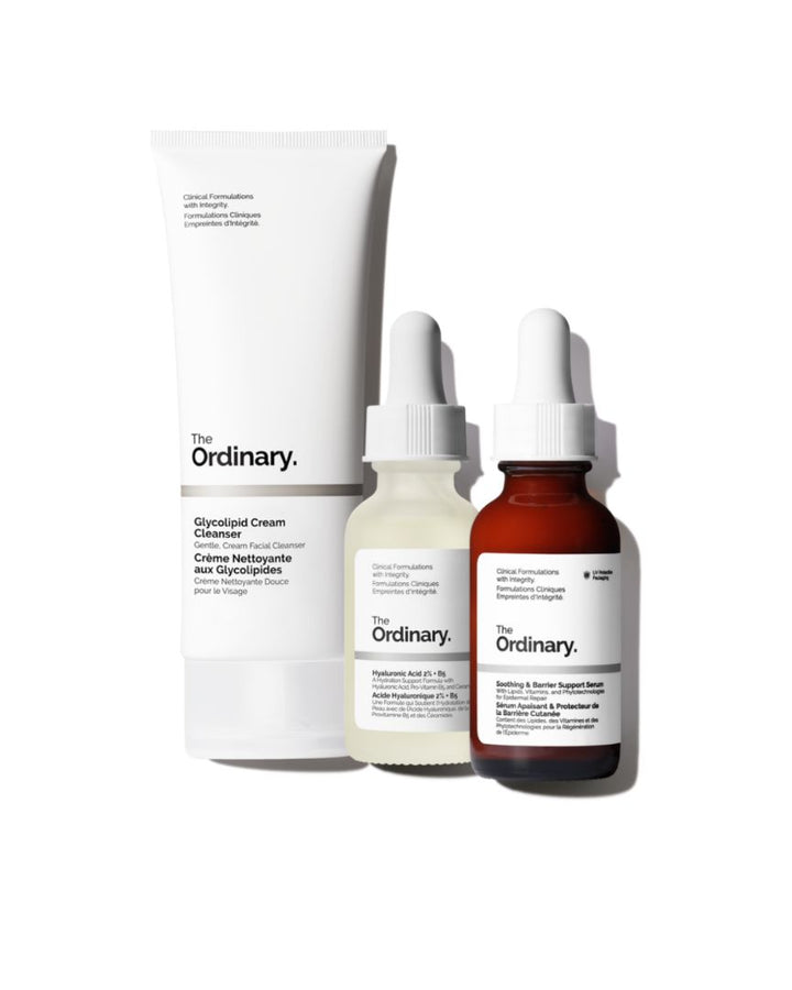 The Barrier Support Set